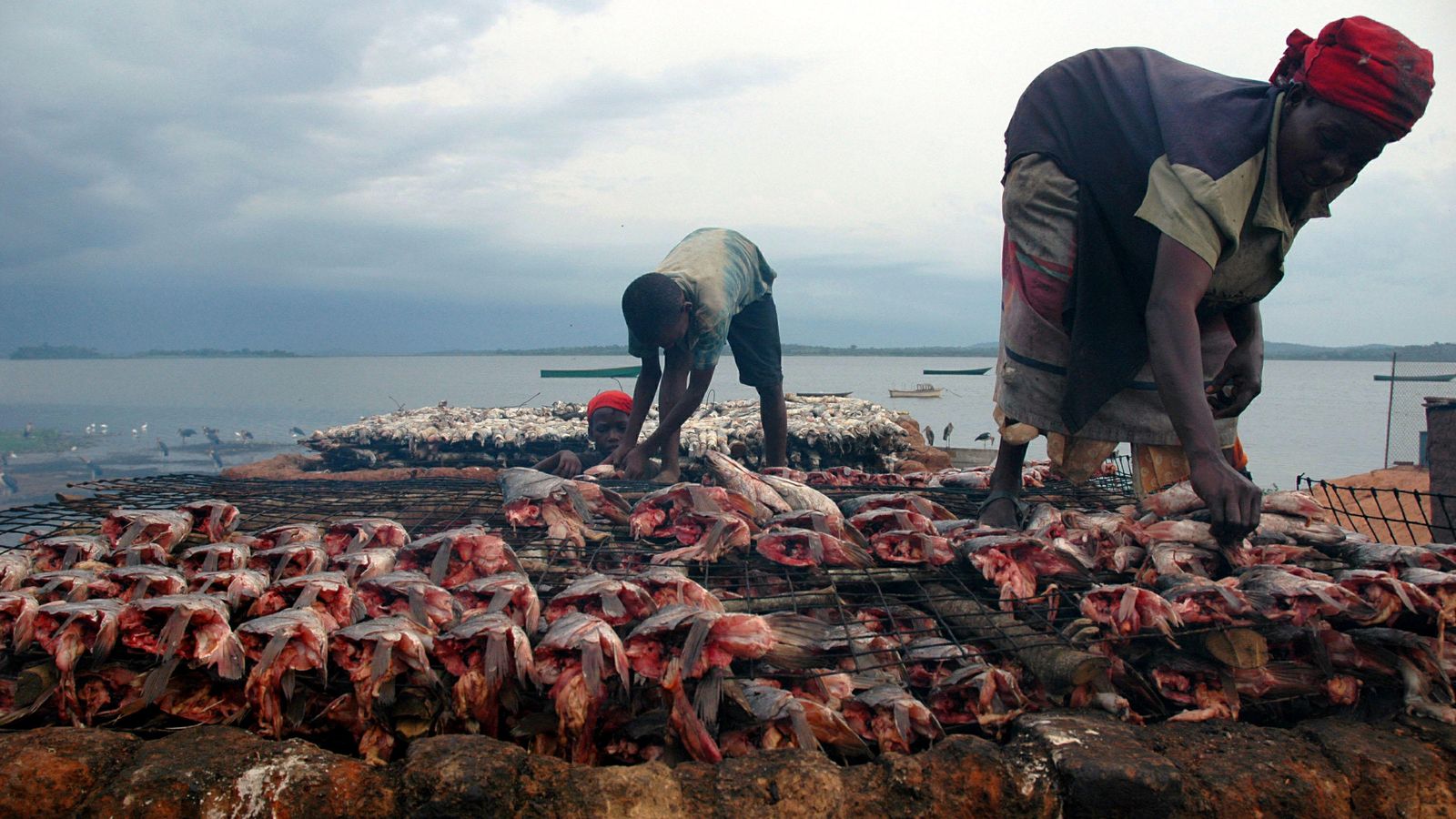 Foto: Mujeres y niños trabajan con pescado en el pequeño puerto de Ggaba, en Uganda (Reuters).