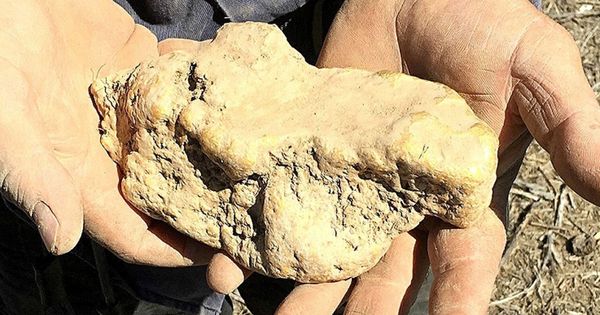 Foto: La roca de oro encontrada pesa más de 3 kilos (EFE)
