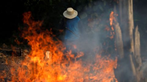Golpe al pulmón del planeta: el incendio del Amazonas no es solo cosa de Brasil