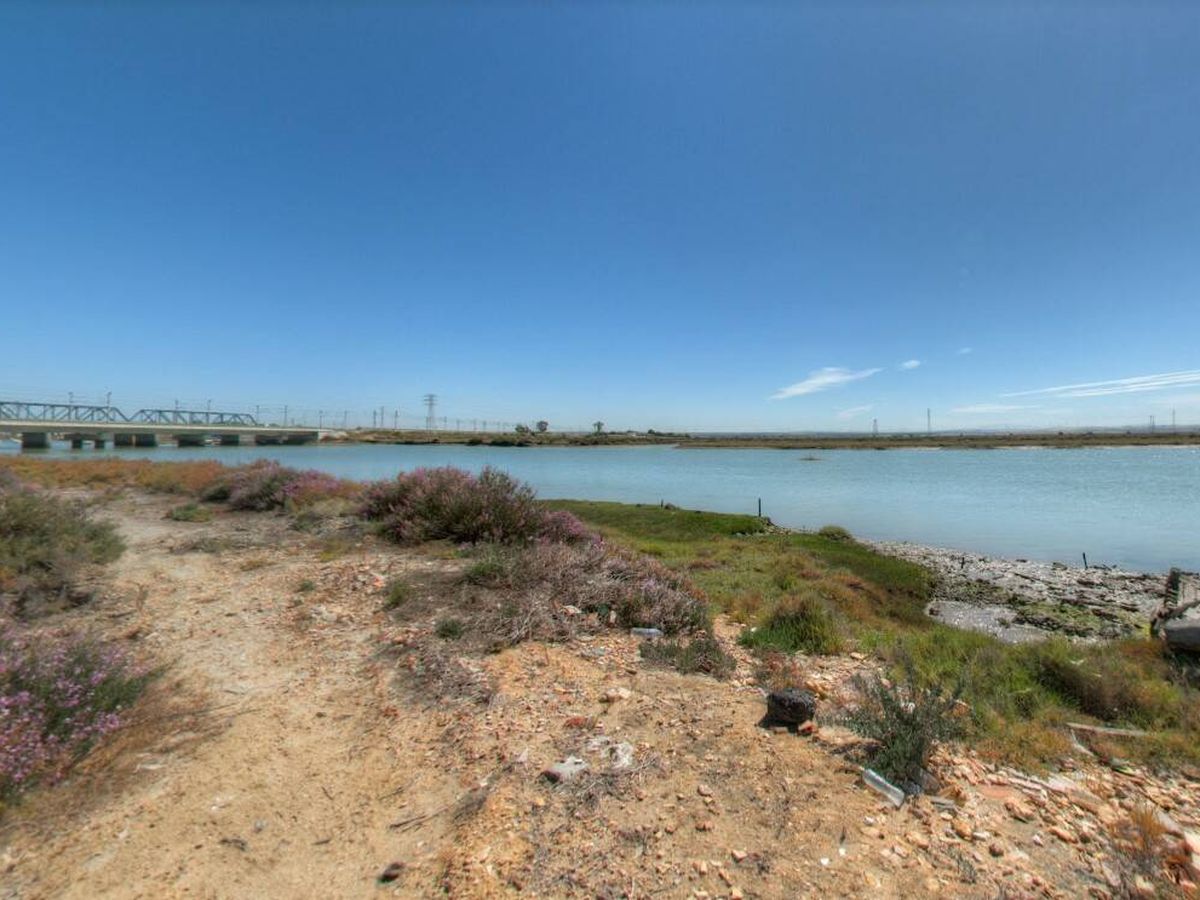 Foto: Caño de Sancti Petri (Cádiz), donde creer que desapareció el sobrino de Camarón. Foto: Google Maps