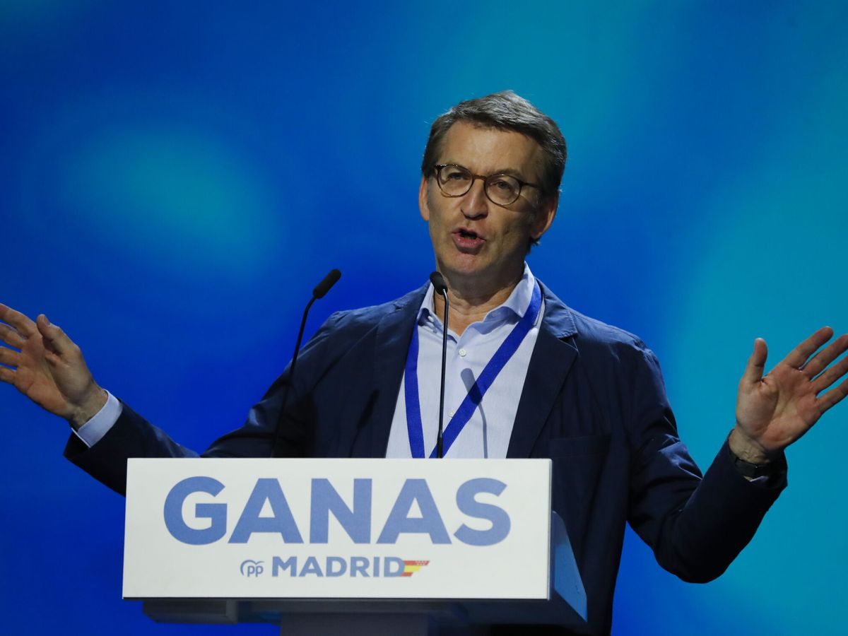 Foto: El líder del PP, Alberto Núñez Feijóo. (EFE/Juan Carlos Hidalgo)