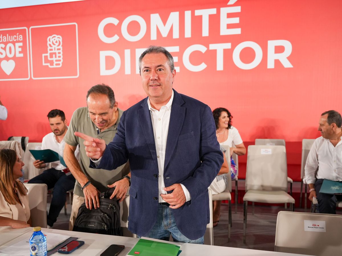 Foto: El secretario general del PSOE andaluz, Juan Espadas, en el Comité Director celebrado en Sevilla. (Europa Press / Francisco J. Olmo)