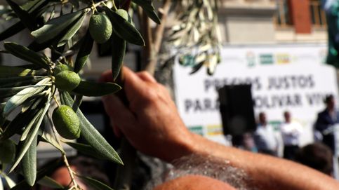 Los olivareros cortan las principales autovías de Jaén en protesta por el precio del aceite