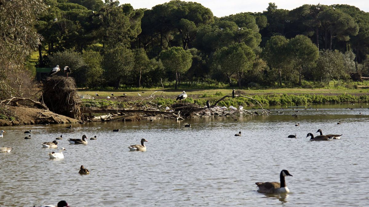 Este parque no muy conocido de Sevilla es un refugio contra el calor: está lleno de agua y zonas verdes y es ideal para el verano