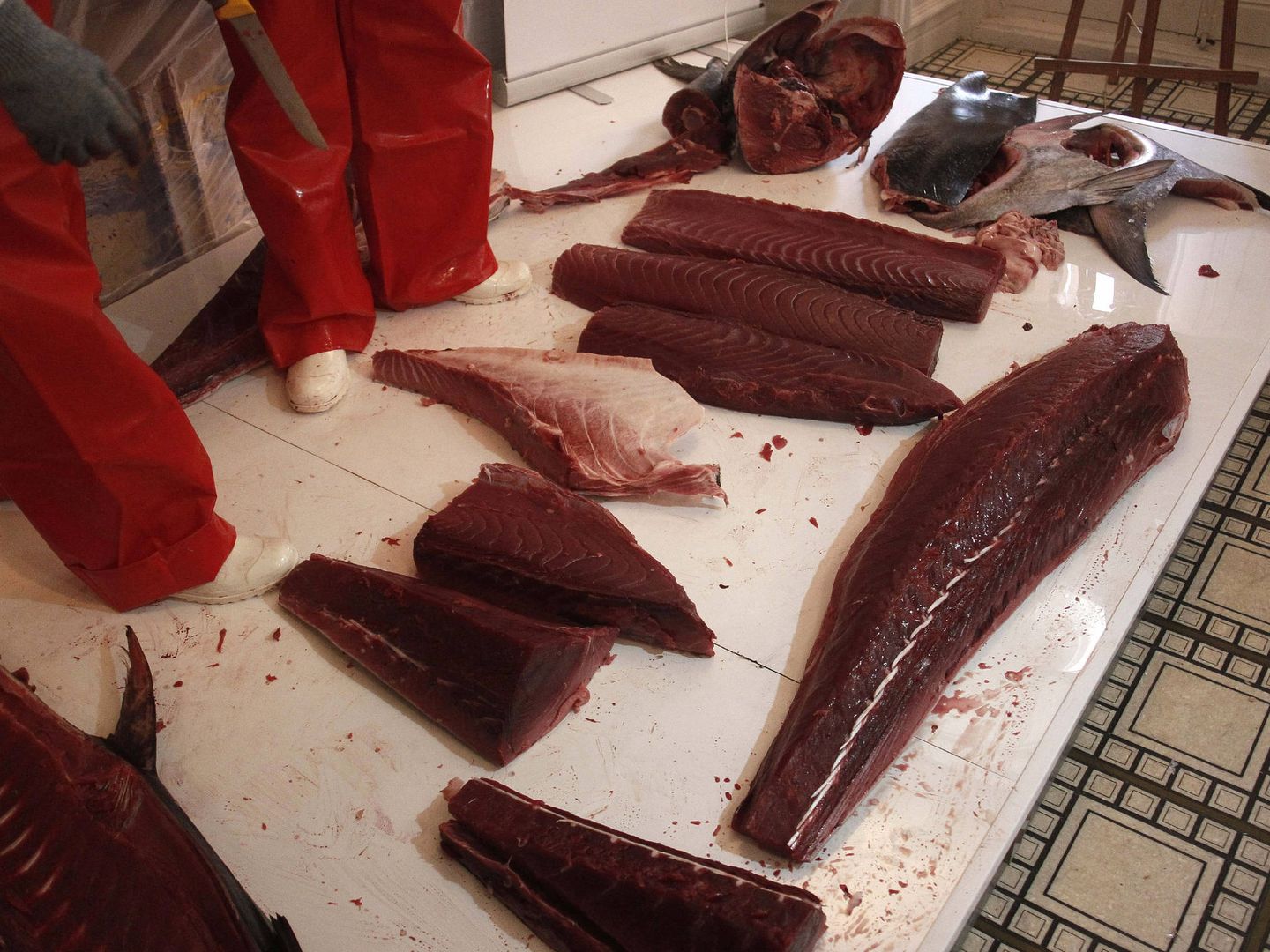 Despiece o ronqueo de un ejemplar de atún rojo en Barbate (Cádiz). (EFE)