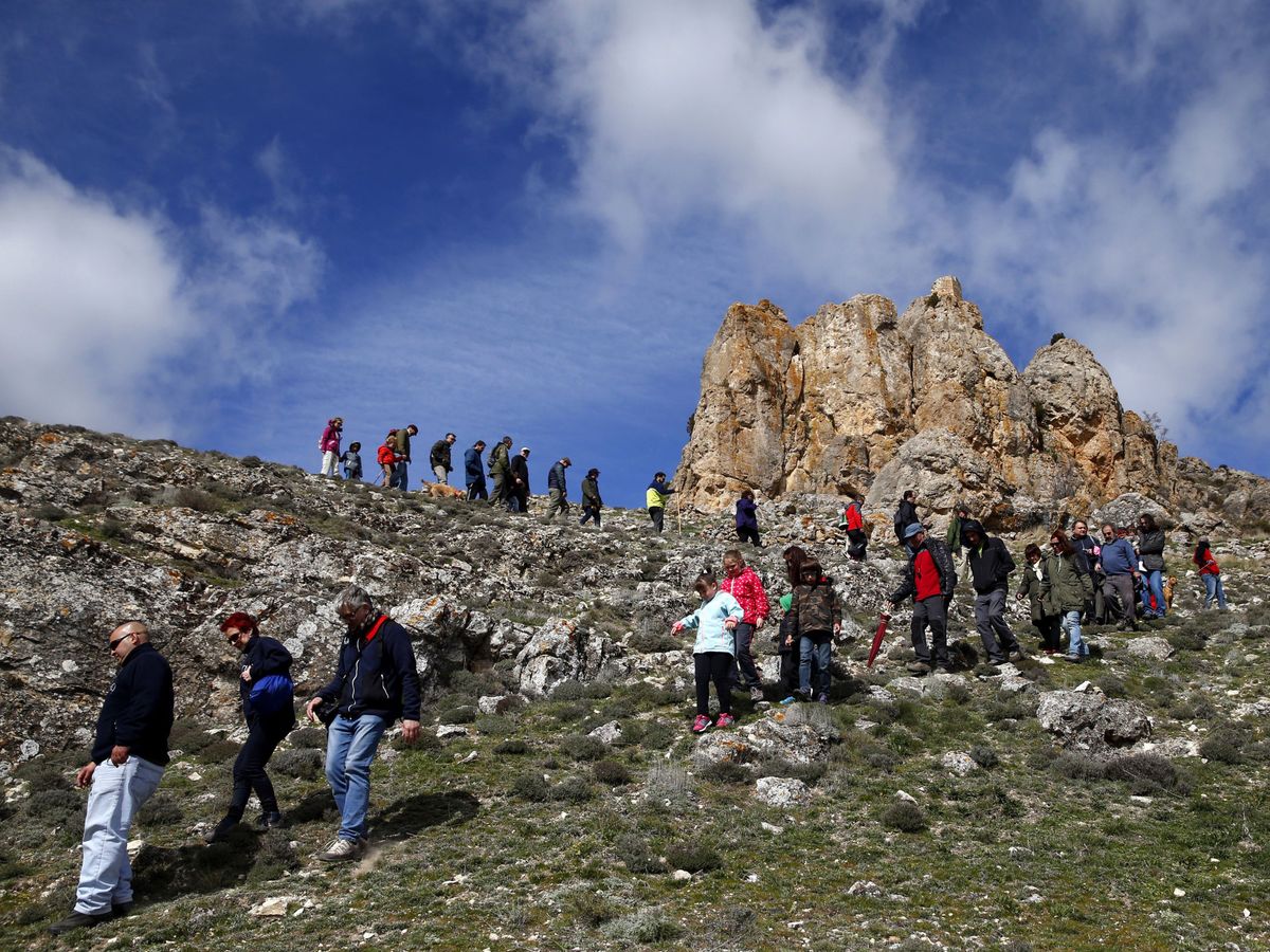 Foto: Un grupo de turistas, en un cerro de Fuentelsaz (Guadalajara). (EFE)