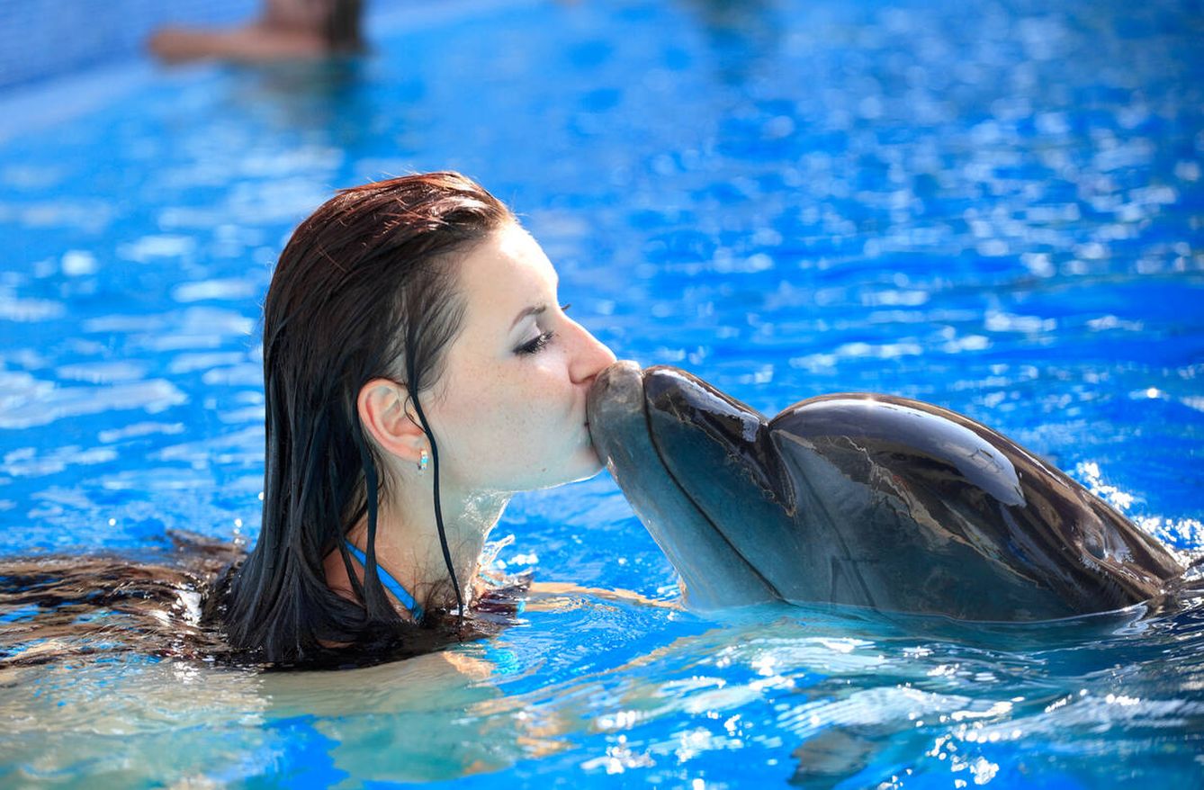 Una mujer, charlando con un delfín. (iStock)