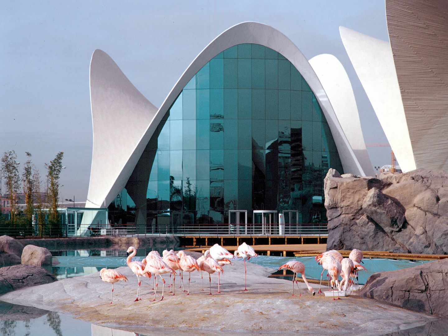 Museo Parque Oceanográfico de Valencia.