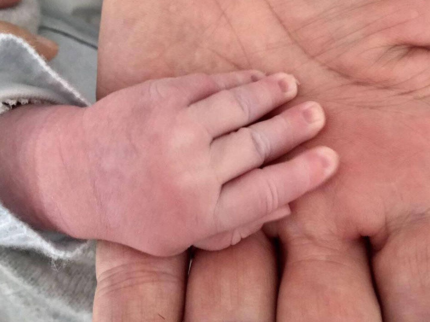  La mano de Feijóo y de su hijo, en una imagen de Twitter.