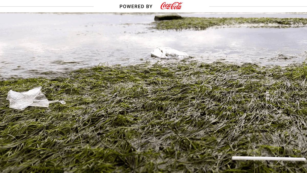 Científicos españoles buscan cómo mejorar la limpieza de plástico en los fondos marinos