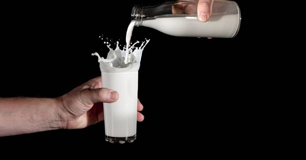 Foto: La leche sin lactosa o digestiva desplaza a las tradicionales, las más afectadas.