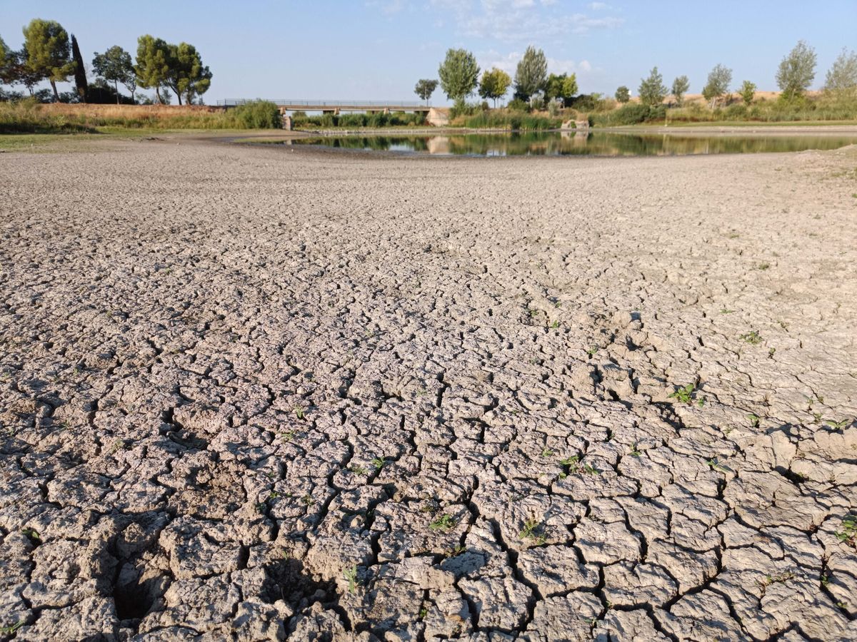 Foto: La sequía deja las reservas bajo mínimos. (EFE/Beldad)