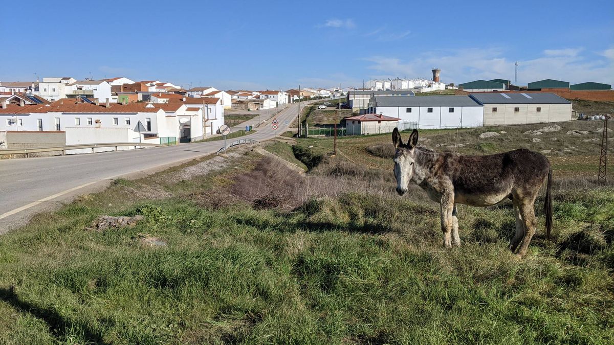 El epicentro de la 3ª ola de covid-19 son estos pueblos de Badajoz. ¿Cómo ha podido pasar?