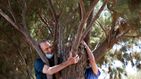 Israel lanza una campaña para que la población abrace árboles para mitigar los efectos del distanciamiento social