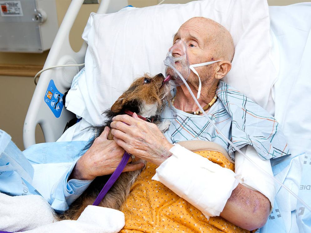 Foto: John y Patch se pasaron todo el día abrazados en el hospital (Foto: Facebook)