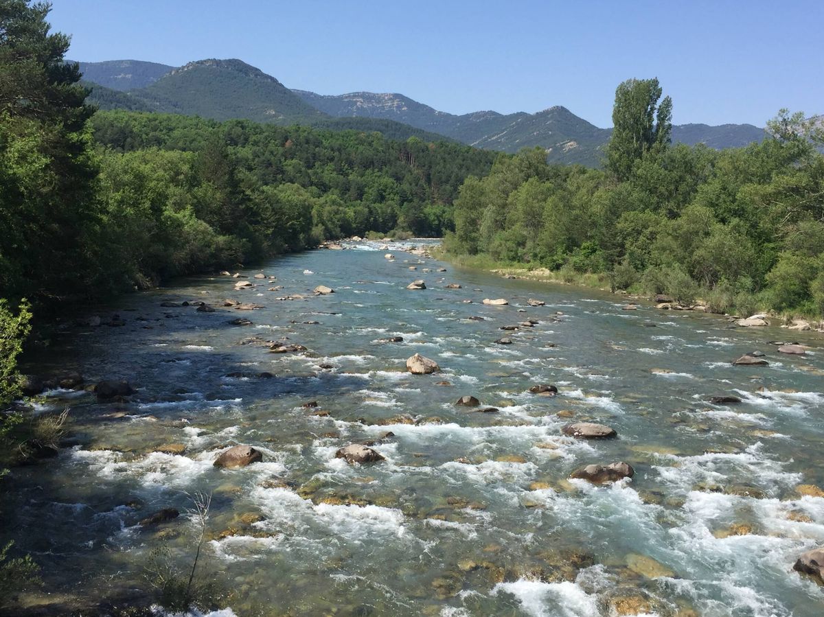 Foto: El río Ara en el Pirineo aragonés.