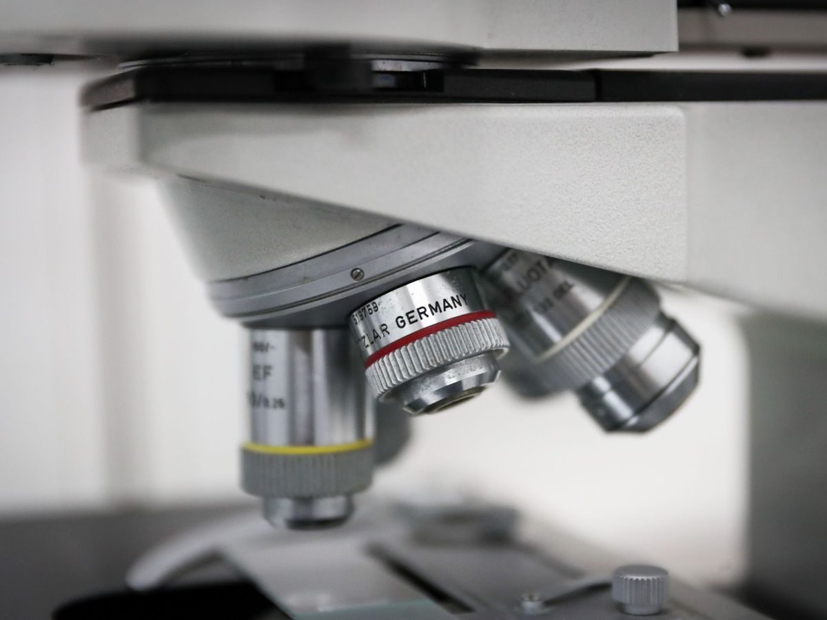 Foto: Vista de un microscopio. (EFE/ Raúl Martínez)