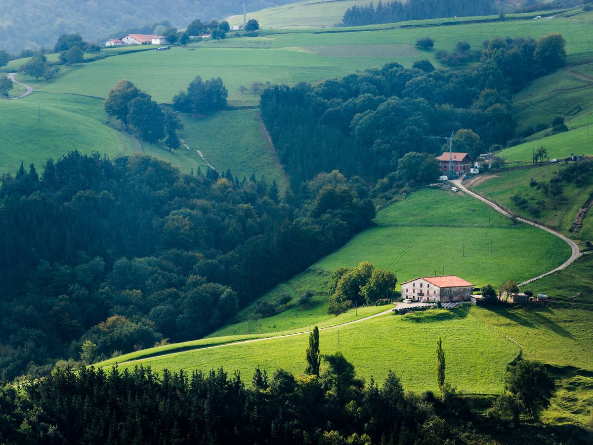 Foto: Vista de los prados verdes y Landa Etxea de Aia (Fuente: iStock)