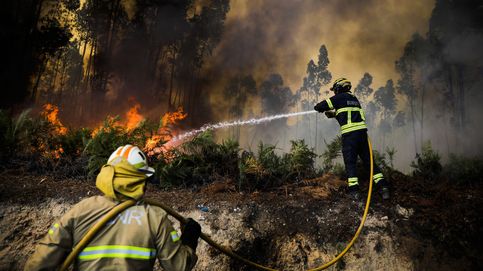 Incendio forestal en Ourem y vida cotidiana en Moscú: el día en fotos