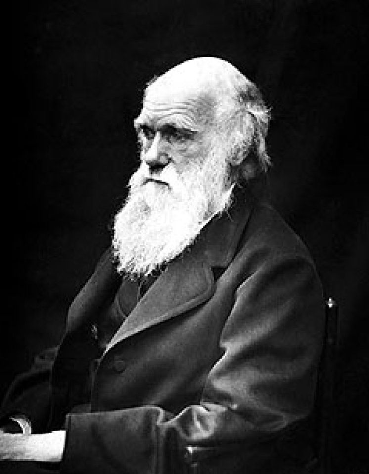 Foto: Darwin tenía razón: microorganismos y humanos compartimos ancestro