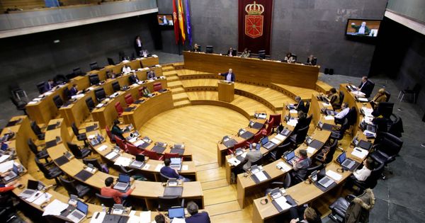 Foto: Un momento del pleno del Parlamento de Navarra de este jueves. (EC)