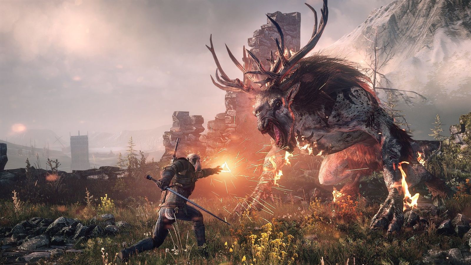 Foto: The Witcher 3