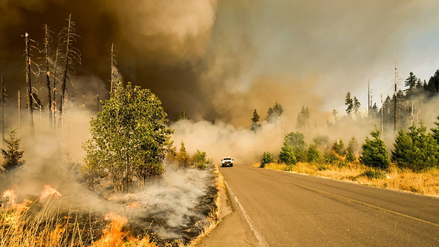 Los incendios forestales cada vez más frecuentes son reflejo de la crisis climática. (Unsplash)