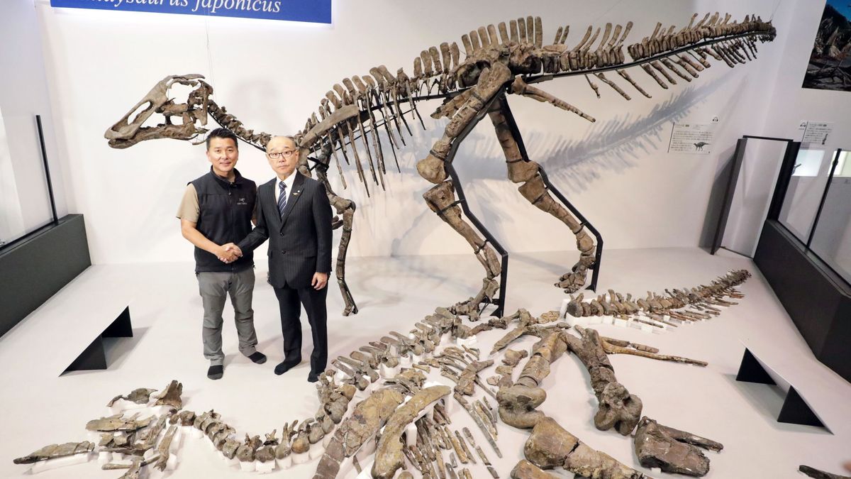 Encuentran una enfermedad rara humana en los fósiles de un dinosaurio 