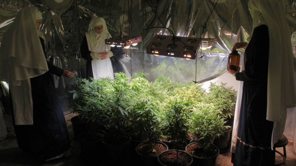 Las "Hermanas de la marihuana": las falsas monjas que cultivan cannabis en California