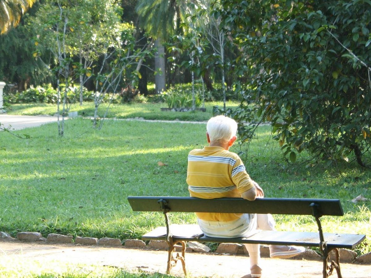 Foto: El anciano acude cuatro días a la semana al instituto para hablar con los jóvenes y esquivar la soledad (Foto: Pixabay)