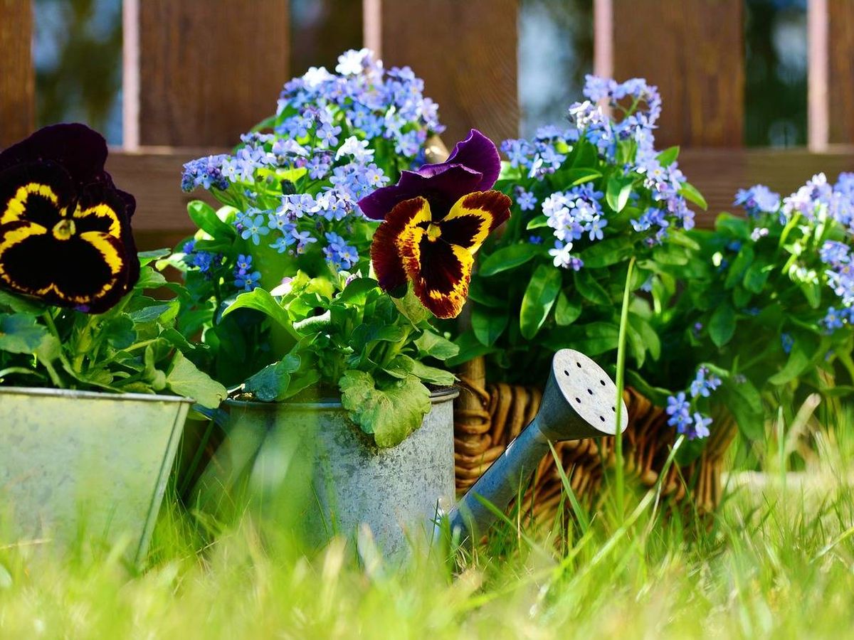 Foto: Jardineras para plantas en el jardín (Foto: Pixabay)