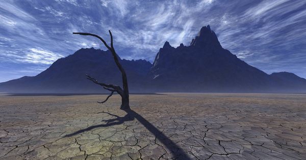 Foto: La sequía, causa directa de las tórridas temperaturas. (iStock)