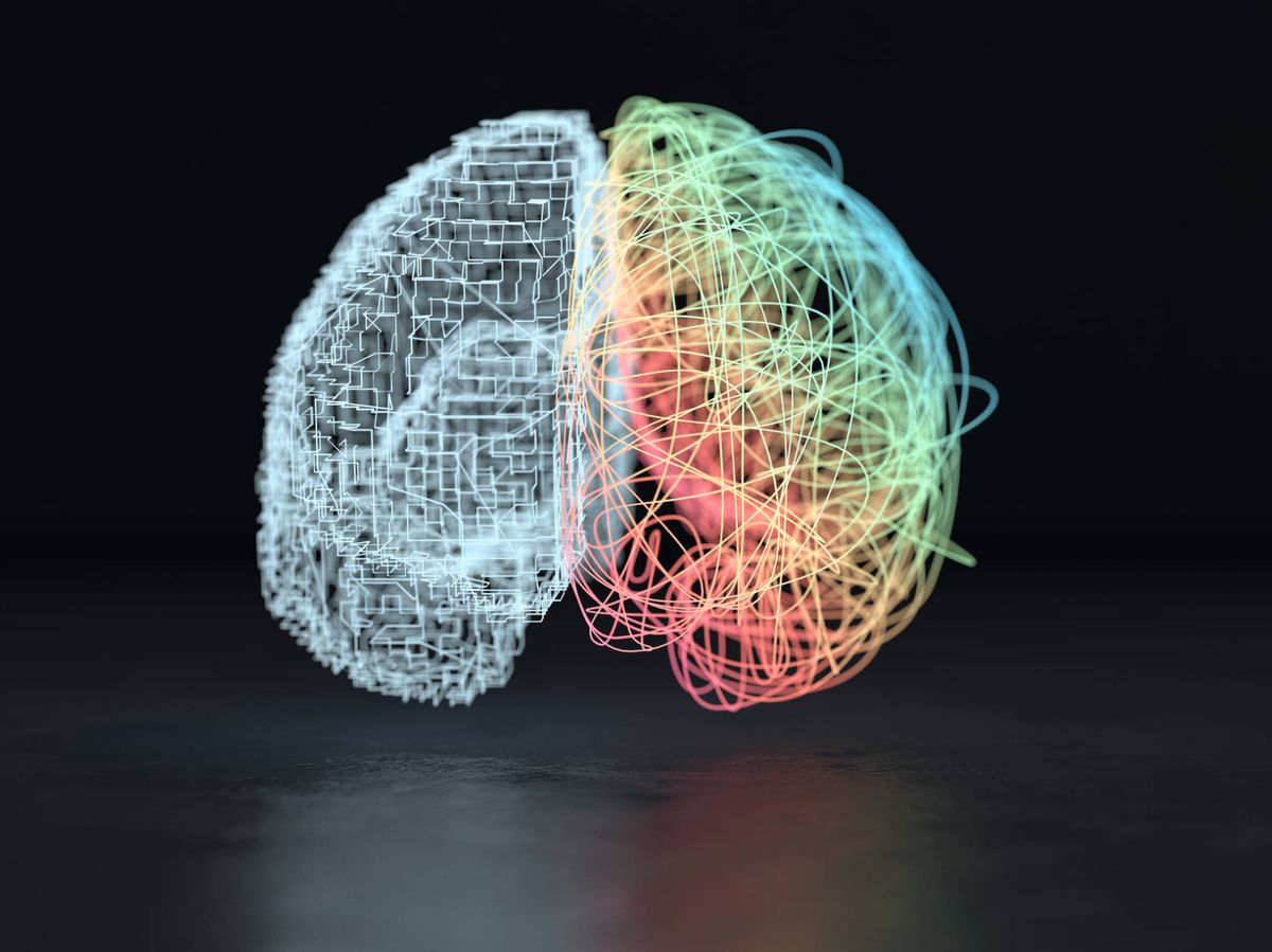 Foto: Representación de los hemisferios del cerebro. (iStock)