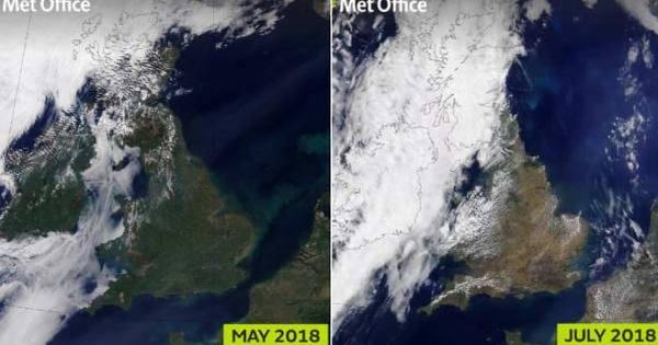 Foto: Imágenes de satélite en las que se observa la pérdida de vegetación en Reino Unido