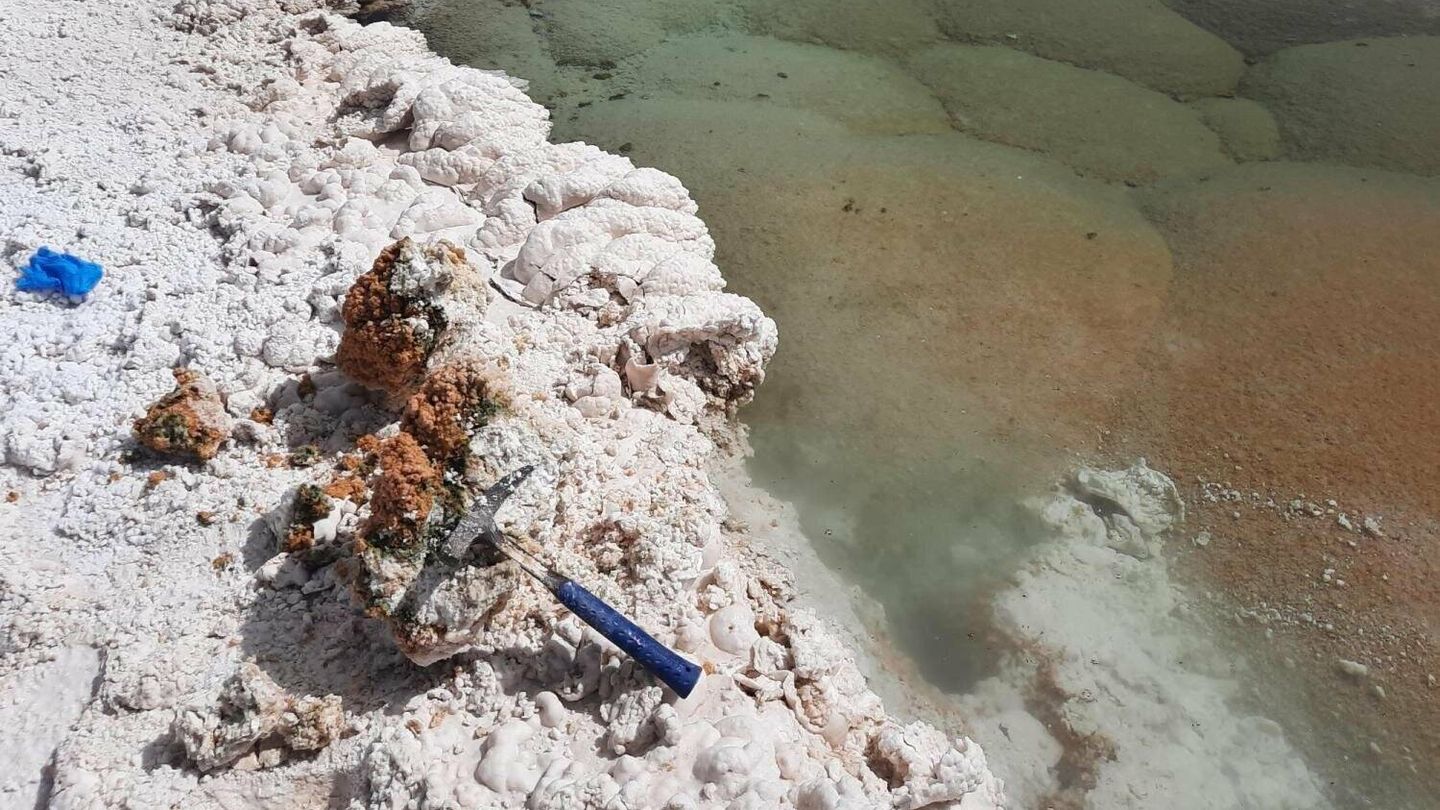 Los estromatolitos primitivos encontrados en las lagunas de Puna de Atacama. (Brian Hynek)