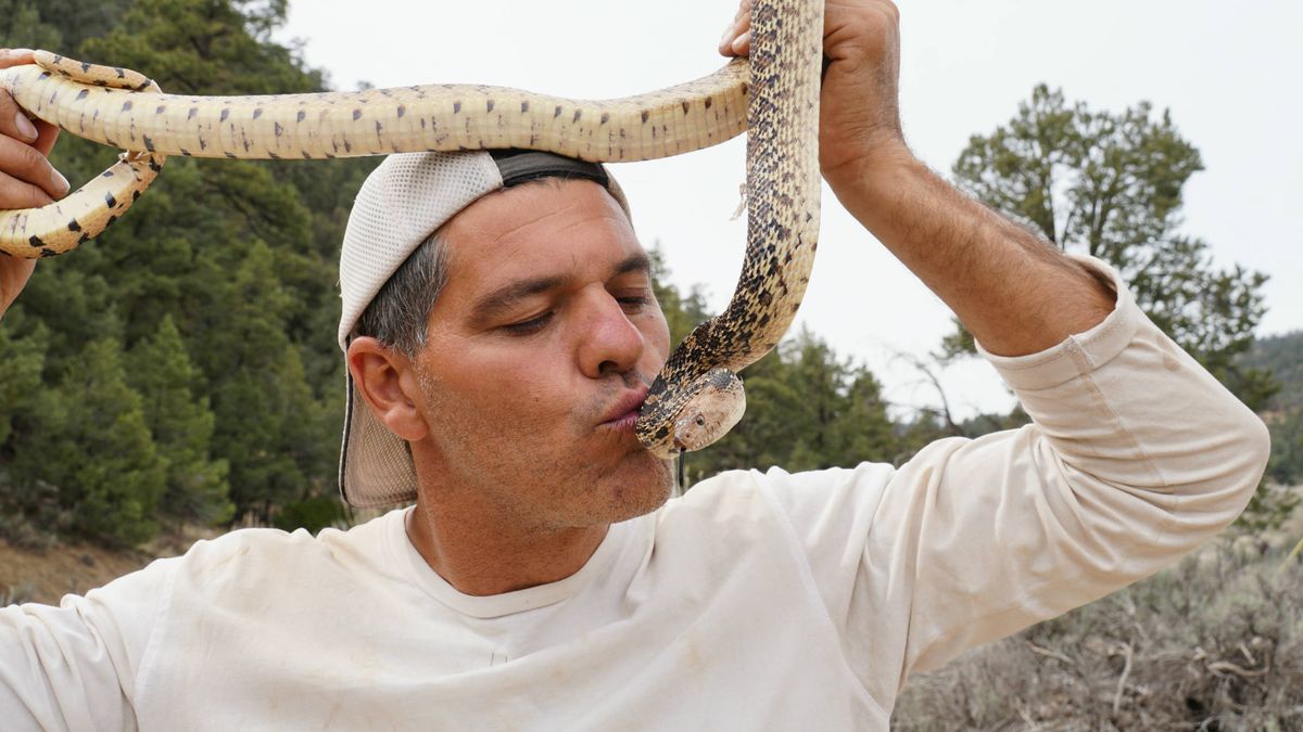 Una serpiente pitón muerde a Frank Cuesta tras comerse un gato