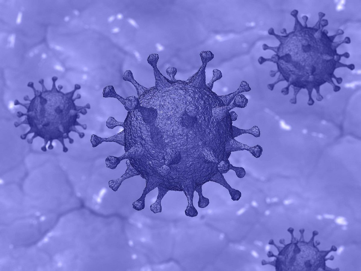 Foto: Un proyecto de vacuna contra el coronavirus obtiene resultados prometedores en ratones. (Pixabay)