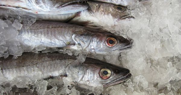 Congelar el pescado no basta para evitar el anisakis: debes