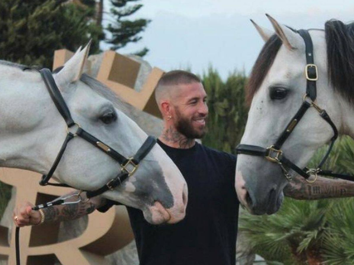 Foto: Sergio Ramos junto a dos de sus caballos en su finca. (Yeguada SR4)