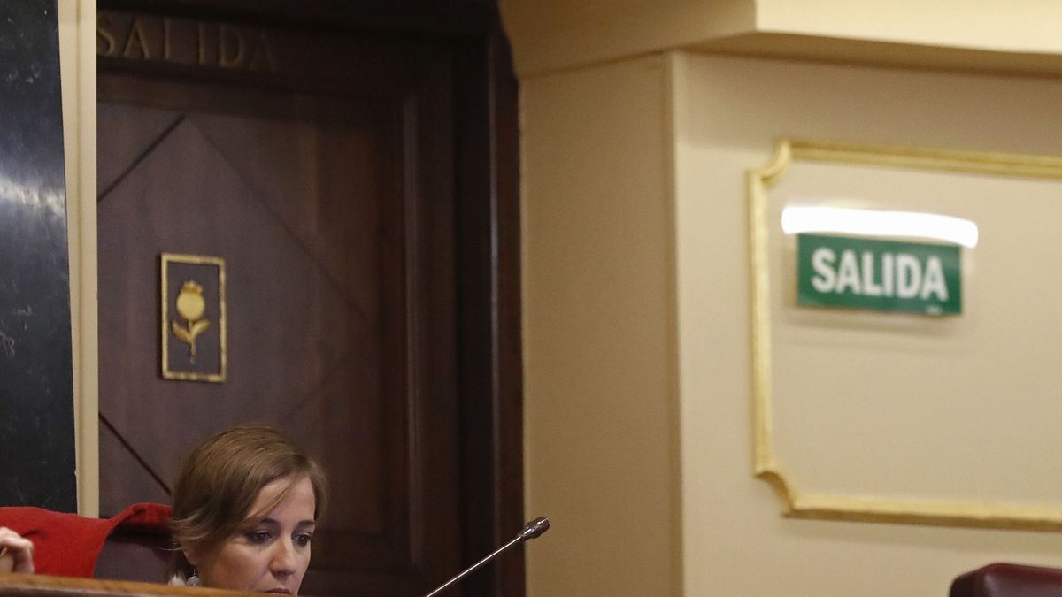 Tania Sánchez, la diputada que renegó tres veces de Podemos, deja la política