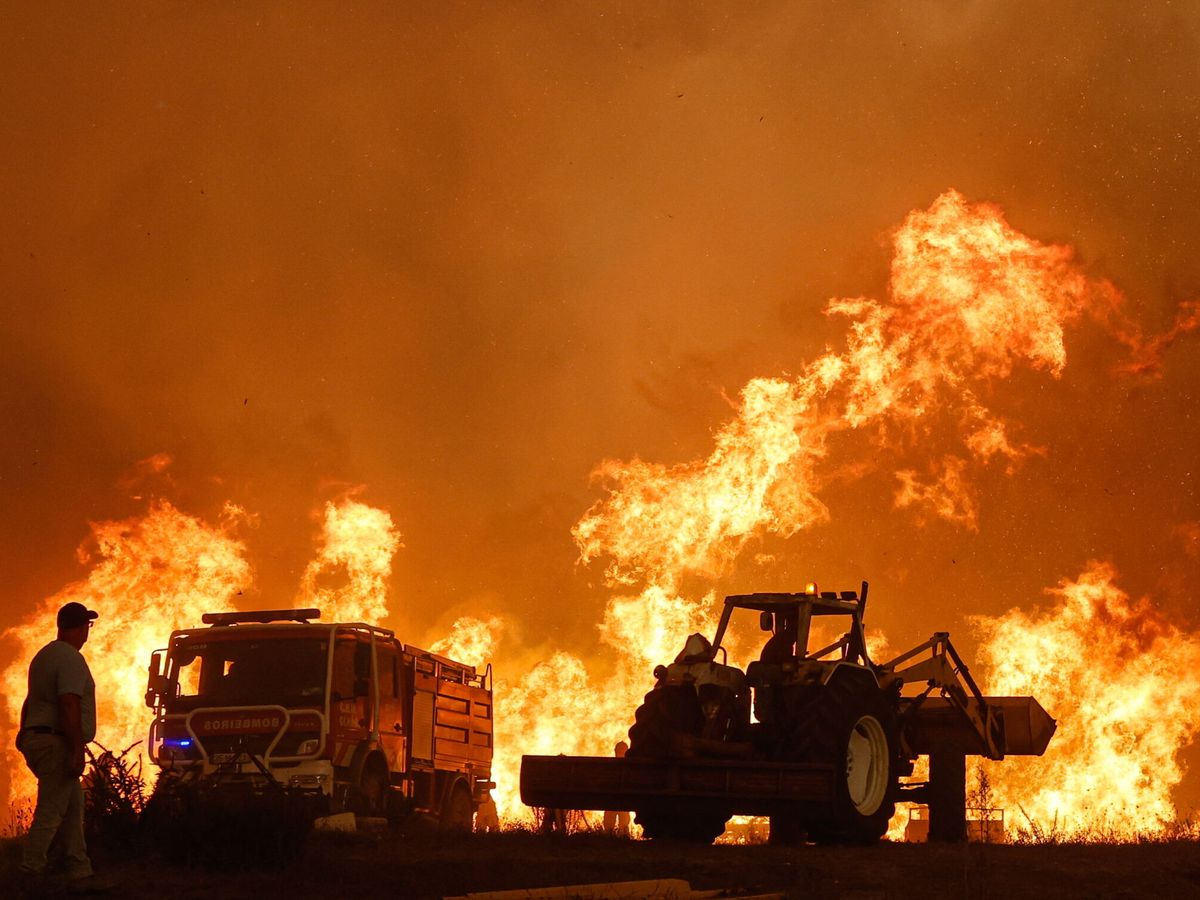Foto: Incendio forestal en Odemira. (EFE/Luis Forra)
