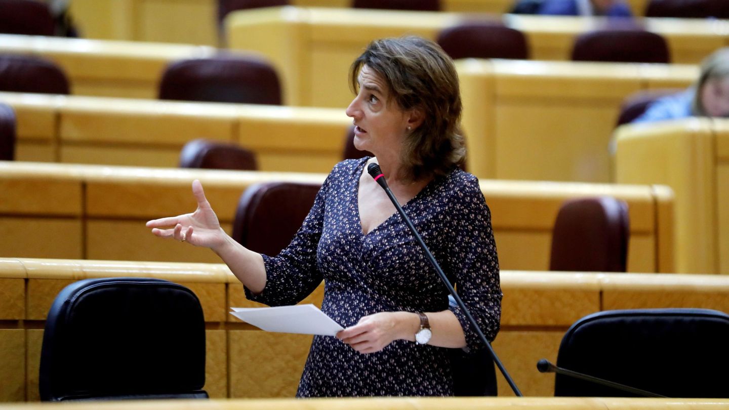 La ministra para la Transición Ecológica, Teresa Ribera, interviene en la sesión de control al Gobierno del Senado. (EFE)