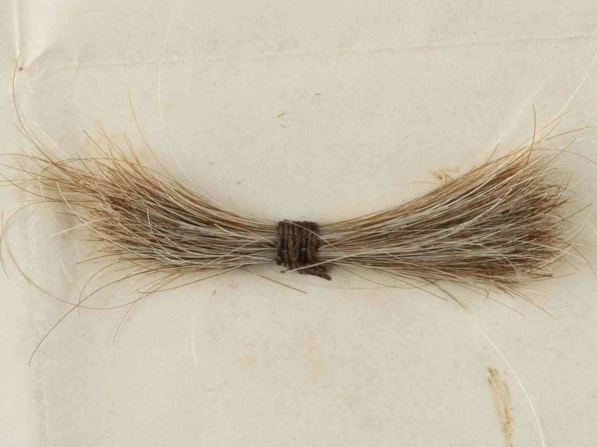 Foto: El mechón de cabello fue cortado durante la autopsia a Abraham Lincoln (Foto: RR Auctions)