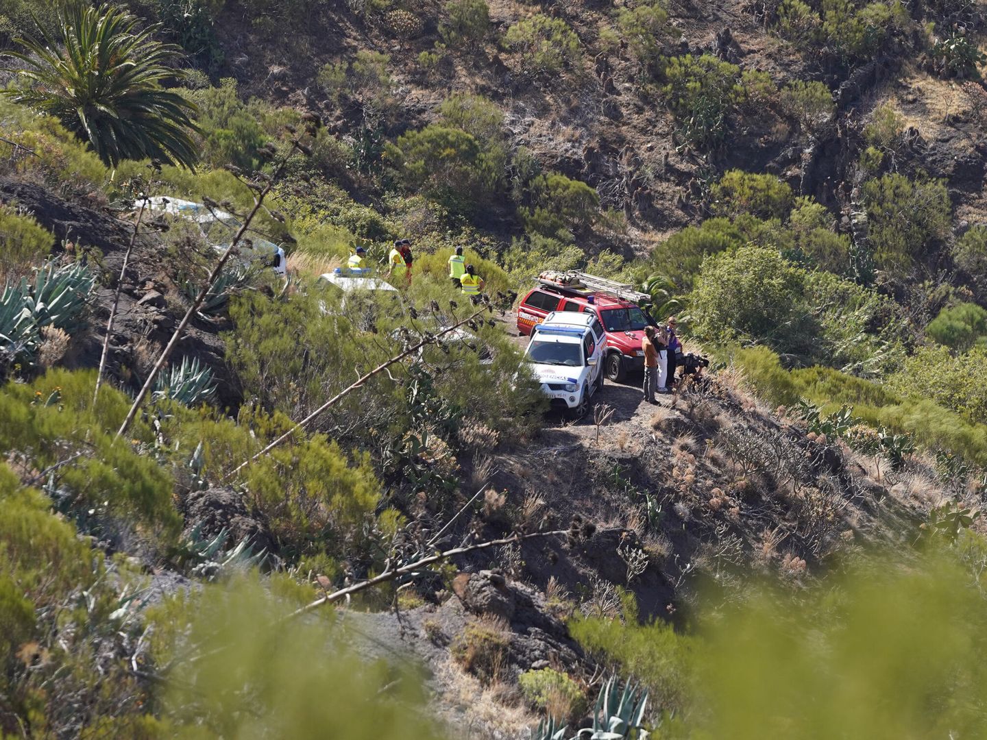 La Guardia Civil llevó a cabo una búsqueda de Jay Slater en la zona de su desaparición, pero no lograron encontrarlo (Foto: Europa Press/Canarias)