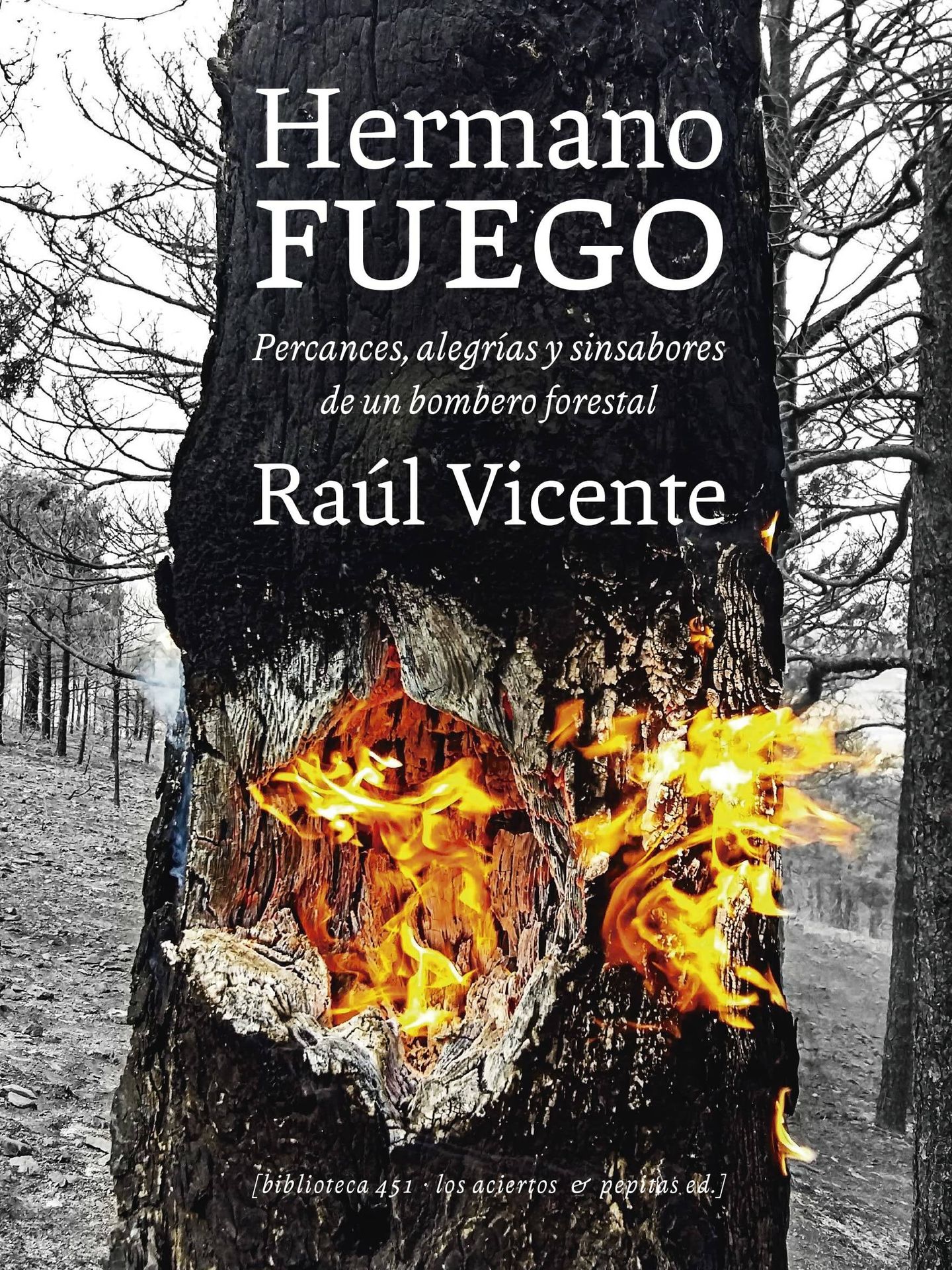 'Hermano fuego', de Raúl Vicente.