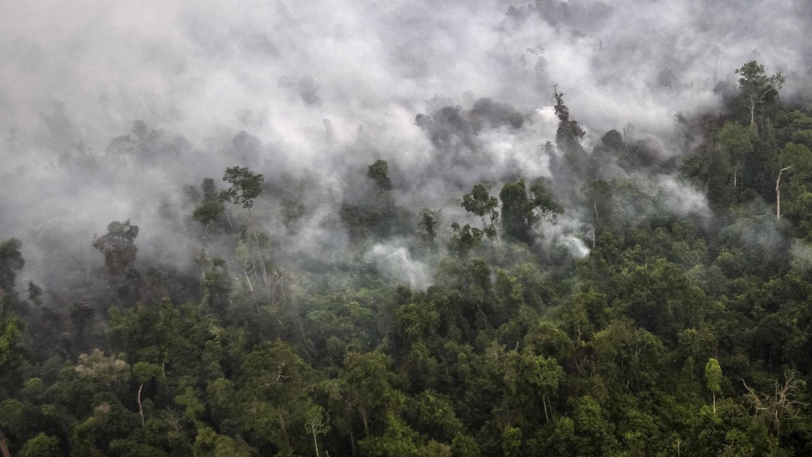 Foto: Incendio en una selva de Sumatra visto desde un helicóptero en septiembre de 2015 (Reuters)
