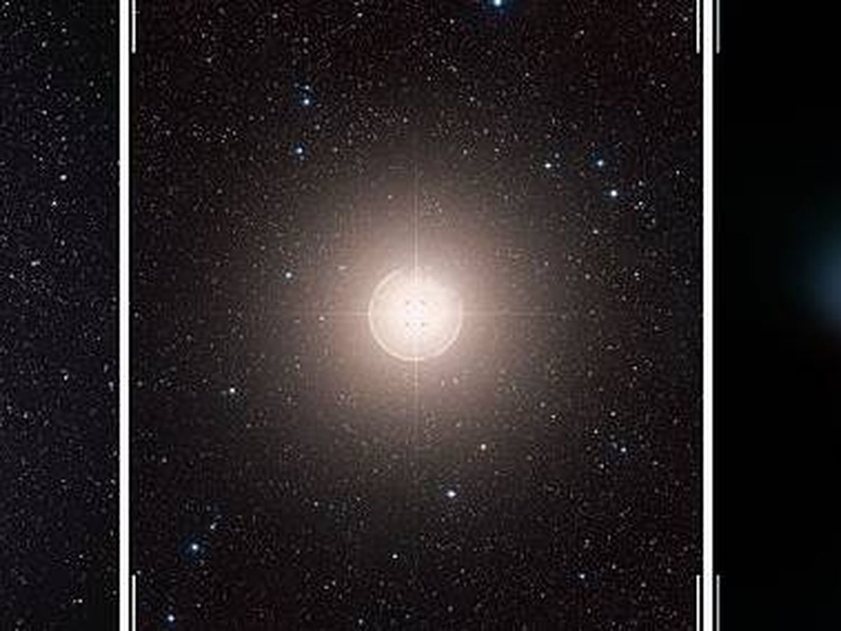 Foto: La estrella Betelgeuse en Orion. (Wikimedia Commons / European Southern Observatory)