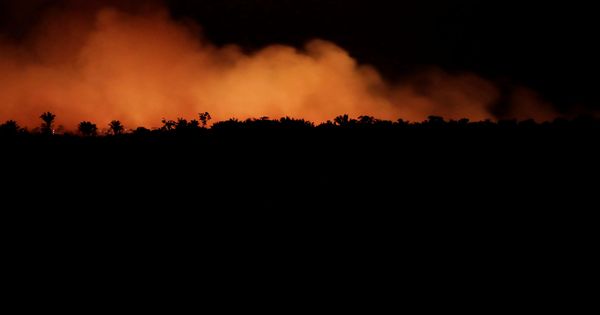 Foto: Columnas de fuego en el bosque del Amazonas, en Brasil, el 17 de agosto. (Reuters)