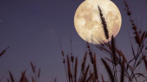 Por qué las lunas de octubre son tan especiales: menos horas de sol, más luz nocturna
