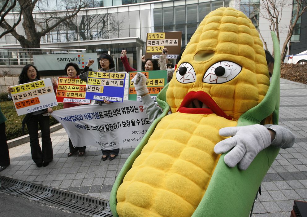 Foto: Un grupo de ecologistas protestan en contra del maíz transgénico, en Seul. (Reuters)